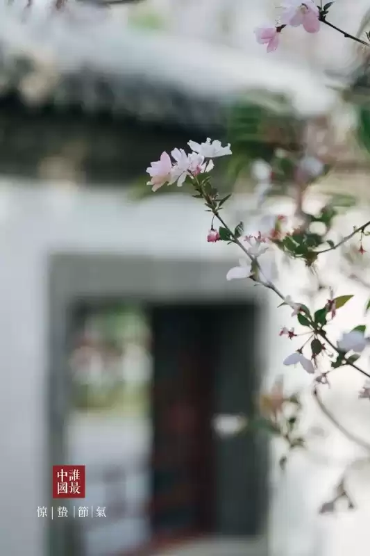 惊蛰的蛰怎么发音呢　什么是惊蛰-第20张