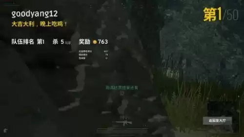 绝地求生类小说在哪里看　《绝地求生　刺激战场》-第1张