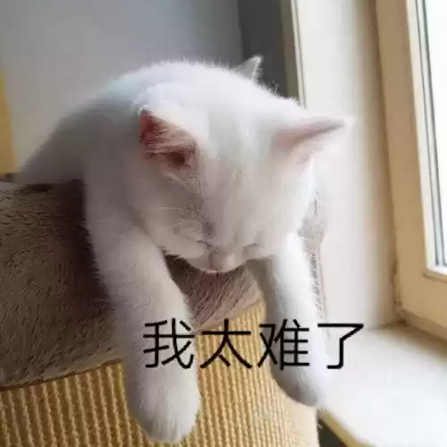 武侠乂英文名叫什么　武侠乂是怎么凉的-第5张