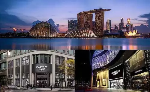无法撼动之物多少钱　劫的冠军之隐多少钱-第10张