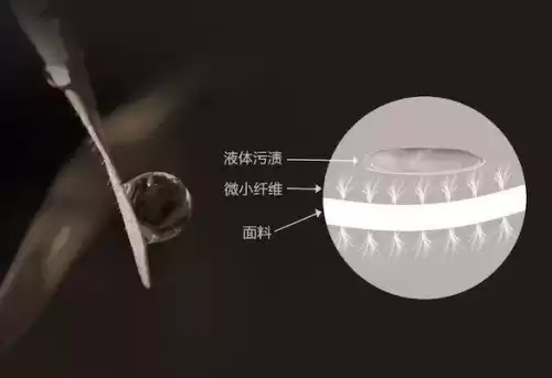 无法撼动之物多少钱　劫的冠军之隐多少钱-第18张