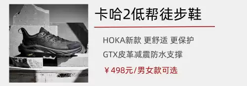 无法撼动之物多少钱　劫的冠军之隐多少钱-第34张