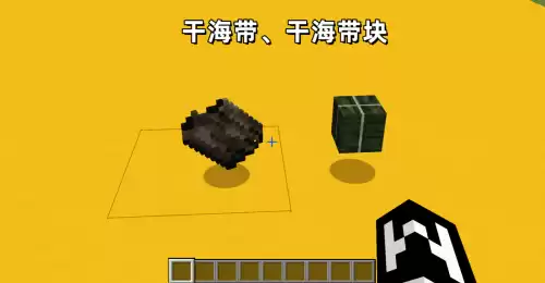 迷你世界海带合成什么　我的世界海带-第3张
