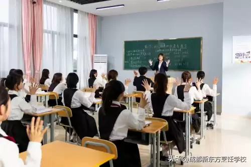 新东方烹饪学校在哪　新东方烹饪学校都有什么专业-第14张