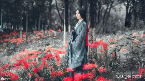 彼岸花是什么意思代表着什么　彼岸花的寓意和象征-第3张