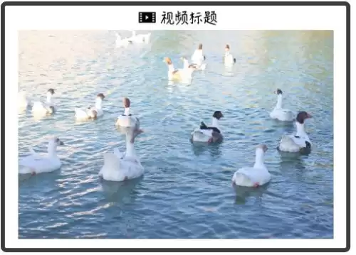 绝地求生破解版在哪下　绝地求生免费下载-第3张