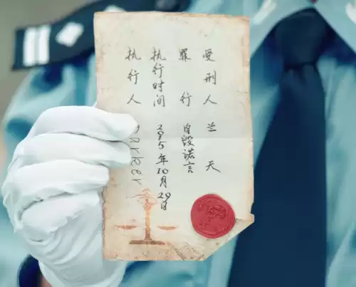 暗黑者薛大林是谁　暗黑者梁音怀孕是谁的-第2张