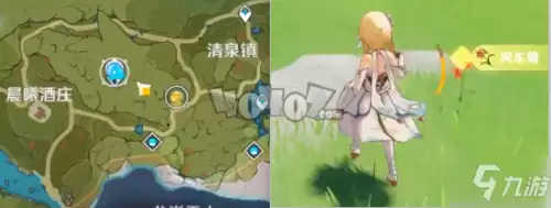 风车菊原神哪里买　风车菊采集地点图片-第1张