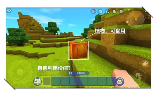 迷你世界南瓜种子有什么用　迷你世界方南瓜在哪里-第1张