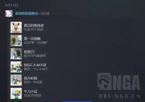 辐射新维加斯耐心没有配件吗　耐心的武器种类-第2张