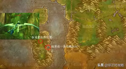 龙语傻瓜教程的人鱼在哪　新人鱼故事-第6张