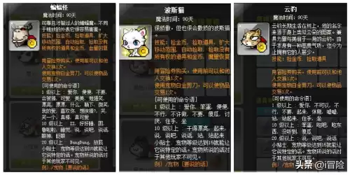 冒险岛什么道具能吸怪　冒险岛怪物宠物怎么获得-第1张