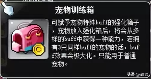 冒险岛什么道具能吸怪　冒险岛怪物宠物怎么获得-第7张