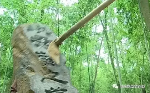 龙游天下洪秀兰鬼魂是哪一集　龙游天下棺中产子剧情介绍-第15张