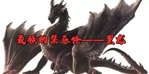 怪物猎人冰原隐身衣怎么用　怪物猎人冰原最强盾斧-第1张