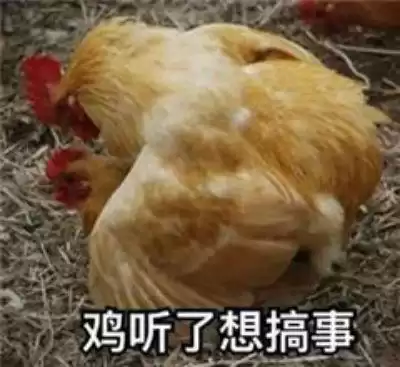 冒险岛ce找怪物位置怎么找　冒险岛伴侣-第2张