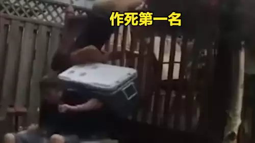 迷你世界新版牛怎么繁殖　迷你世界如何养牛-第1张