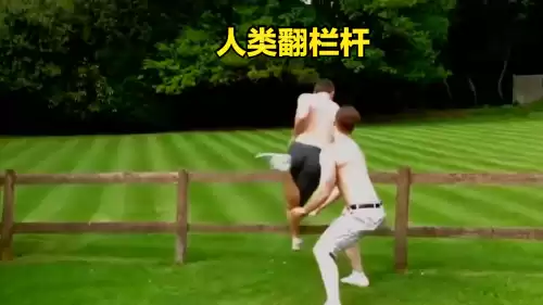 迷你世界新版牛怎么繁殖　迷你世界如何养牛-第3张