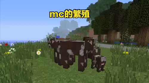 迷你世界新版牛怎么繁殖　迷你世界如何养牛-第4张