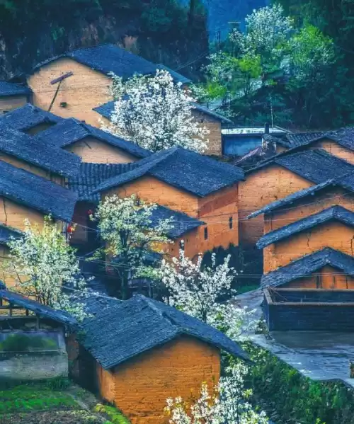 地下城堡2凹坑中的房子队员拒绝进入　地下城堡二凹陷的房子任务-第7张