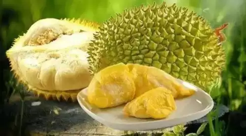 引导障碍在一耽女孩叫什么　自闭症受-第2张