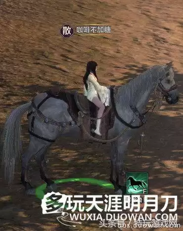 天刀多人骑乘怎么使用　天涯明月刀可以和朋友一起玩吗-第24张