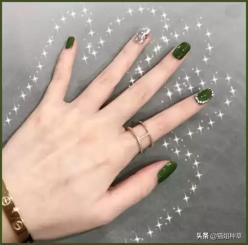 地下城堡2姨妈甲　地下城堡2硬皮甲-第18张