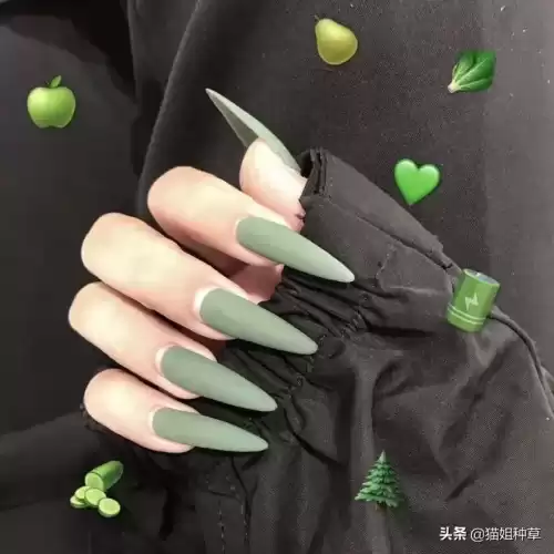 地下城堡2姨妈甲　地下城堡2硬皮甲-第46张