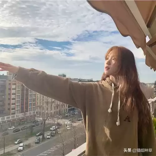 地下城堡2姨妈甲　地下城堡2硬皮甲-第71张