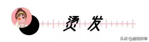 地下城堡2姨妈甲　地下城堡2硬皮甲-第89张