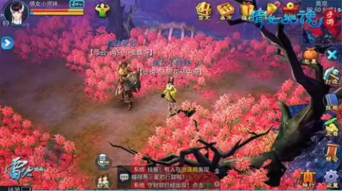 倩女梦岛照片怎么调大小　新倩女幽魂梦岛网页版-第1张