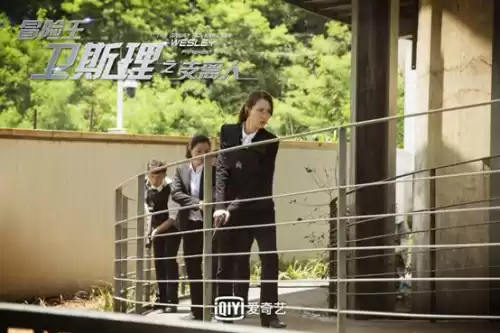 冒险王卫斯理之支离人怪手抓女人胸是哪集　冒险王卫斯理之支离人免费版-第2张