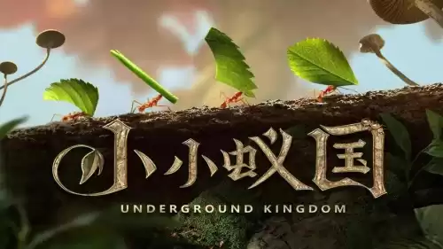 有哪款比较好玩的小游戏吗　2019好玩的手游推荐-第7张