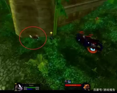祖尔格拉布怎么刷老虎　魔兽世界怀旧服老虎坐骑怎么获得-第13张