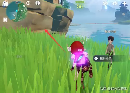 玩手鞠的小孩都在哪里原神　稻妻城手鞠位置攻略-第9张