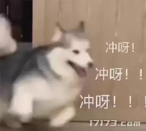 保卫萝卜96关怎么攻略　保卫萝卜2第65关攻略-第1张