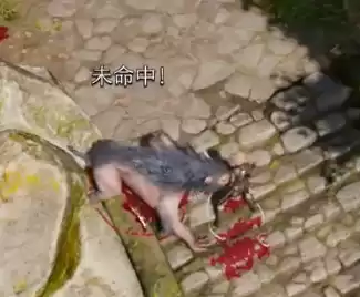 博德之门2是单机游戏吗　博德之门3是什么类型的游戏-第12张