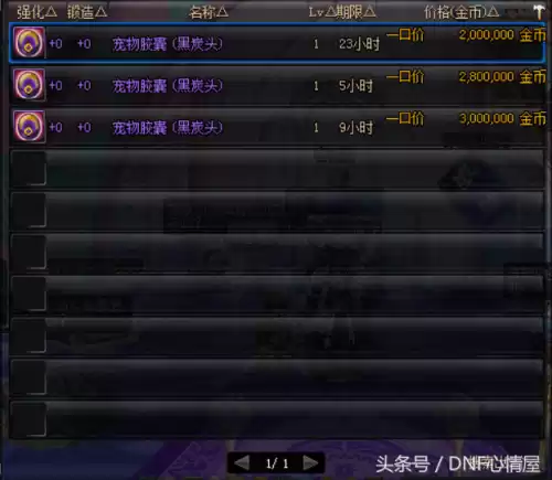 dnf2022可交易的宠物　DNF平民宠物-第2张
