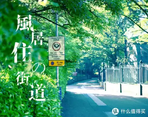第五人格钢琴怎么弹最后的晚餐　最后的晚餐-第34张