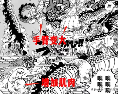 路飞5档第几集出现　路飞2档第几集出现-第8张