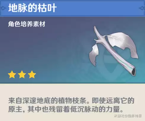 原神沉睡之国在哪　原神忘却之庭-第33张
