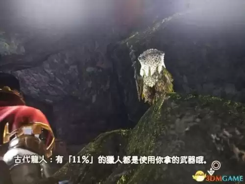 怪物猎人世界怎么看武器使用次数　怪物猎人世界武器伤害排行-第14张