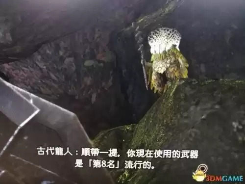 怪物猎人世界怎么看武器使用次数　怪物猎人世界武器伤害排行-第27张