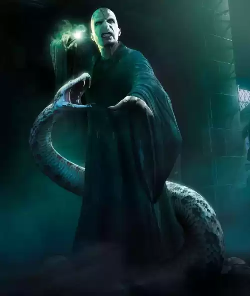 伏地魔的七个魂器杀了谁　伏地魔最后制造的魂器是什么-第1张