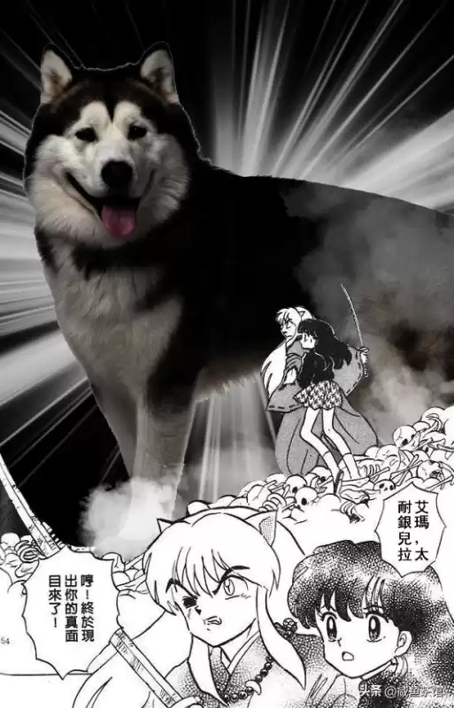 奈落和杀生丸哪个厉害　高桥留美子说犬夜叉最爱桔梗-第6张
