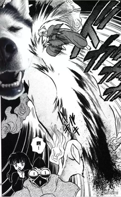 奈落和杀生丸哪个厉害　高桥留美子说犬夜叉最爱桔梗-第7张