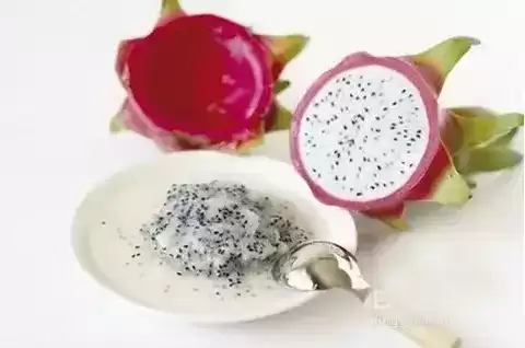 火龙果苗怎么种植盆栽　火龙果可以盆栽养殖吗-第1张