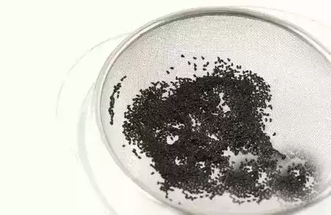 火龙果苗怎么种植盆栽　火龙果可以盆栽养殖吗-第4张