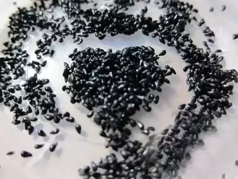 火龙果苗怎么种植盆栽　火龙果可以盆栽养殖吗-第5张