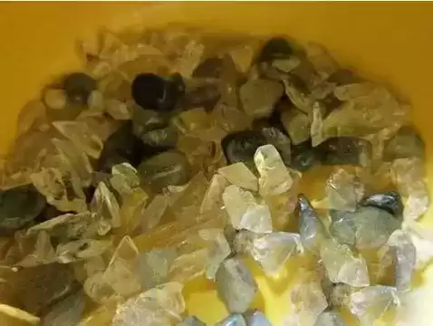 火龙果苗怎么种植盆栽　火龙果可以盆栽养殖吗-第6张